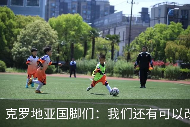 克罗地亚国脚们：我们还有可以改进的方面，会为世界杯做好备战