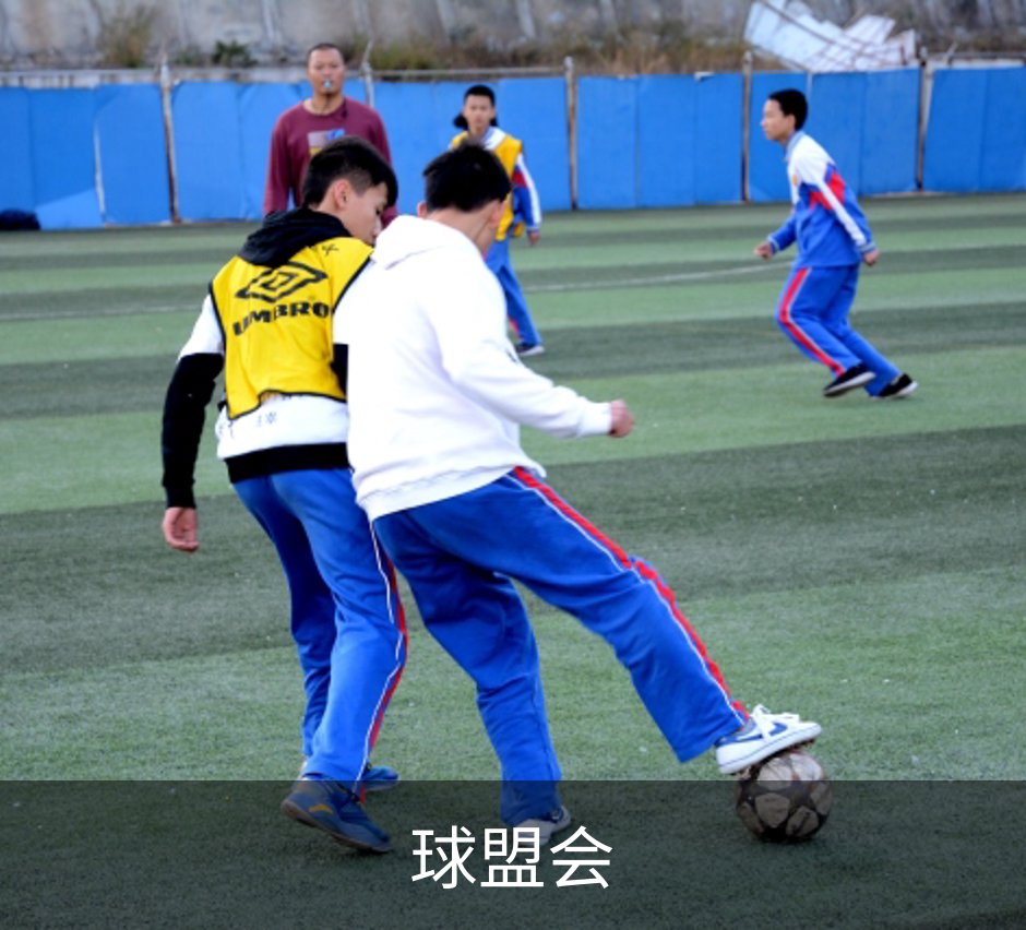 走进球盟会